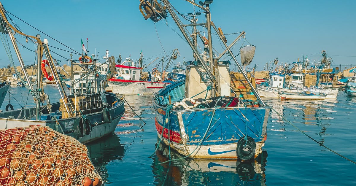 découvrez l'univers des 'anchors', ces éléments essentiels pour structurer et naviguer efficacement sur le web. apprenez leur importance en seo, leur utilisation dans la création de liens internes et externes, et comment ils améliorent l'expérience utilisateur sur votre site.