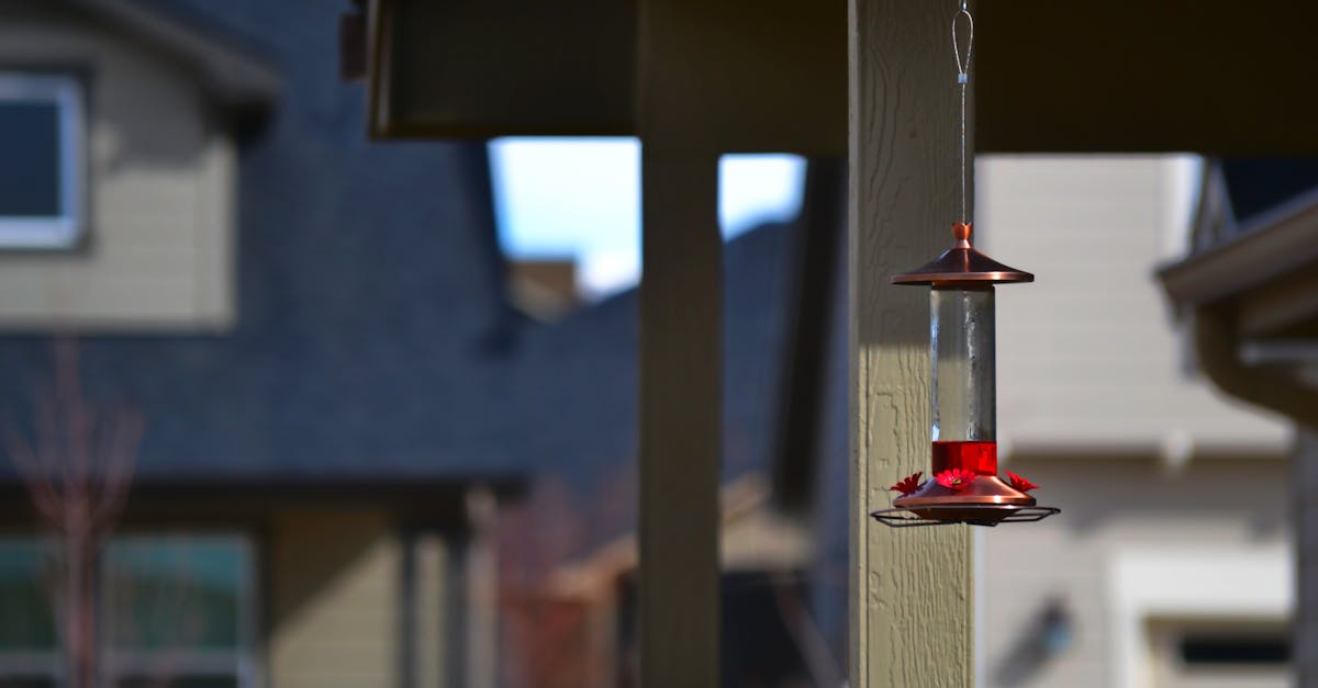 découvrez nos mangeoires pour oiseaux qui allient esthétique et praticité. attirez une variété d'oiseaux dans votre jardin tout en leur fournissant une source de nourriture essentielle. faciles à installer et à entretenir, nos mangeoires sont idéales pour les passionnés d'ornithologie et les amoureux de la nature.
