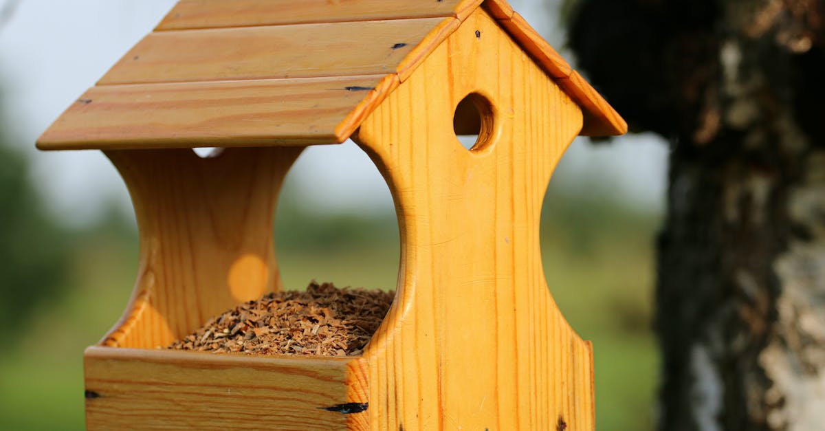 découvrez notre sélection de mangeoires pour oiseaux, parfaites pour attirer vos amis à plumes dans votre jardin. fabriquées à partir de matériaux durables, nos mangeoires offrent un refuge confortable et sécurisé pour les oiseaux. profitez du chant des oiseaux tout en embellissant votre extérieur !