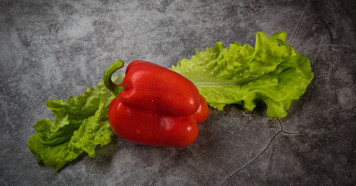 découvrez les avantages du béton cellulaire dans votre cuisine : légèreté, isolation thermique et durabilité, tout en ajoutant une touche moderne à votre espace culinaire.