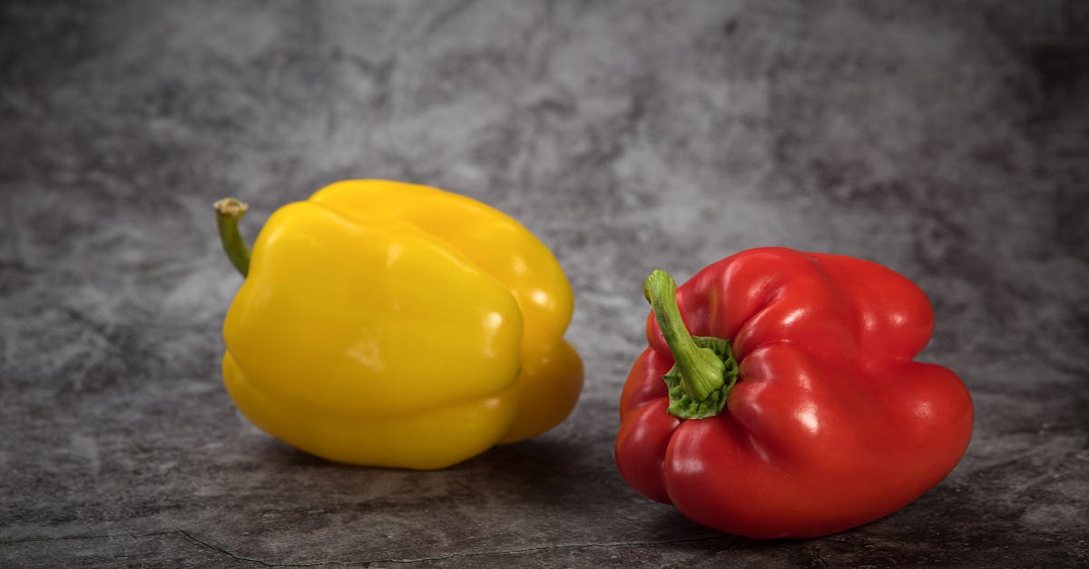 découvrez les avantages du béton cellulaire en cuisine : légèreté, isolation thermique et facilité d'aménagement. transformez votre espace culinaire avec cette solution innovante et durable.
