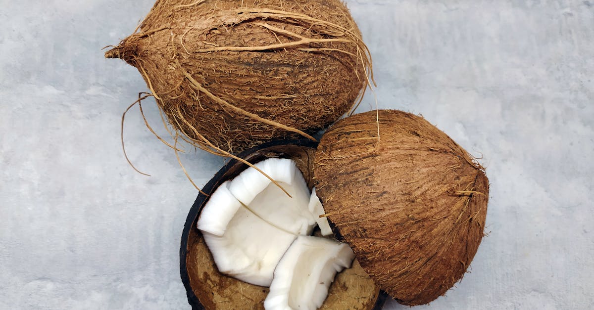 découvrez les multiples avantages de la fibre de noix de coco, un matériau écologique et durable utilisé dans divers domaines comme l'horticulture, le jardinage et la fabrication de textiles. apprenez comment cette ressource naturelle transforme des secteurs en alliant performance et respect de l'environnement.