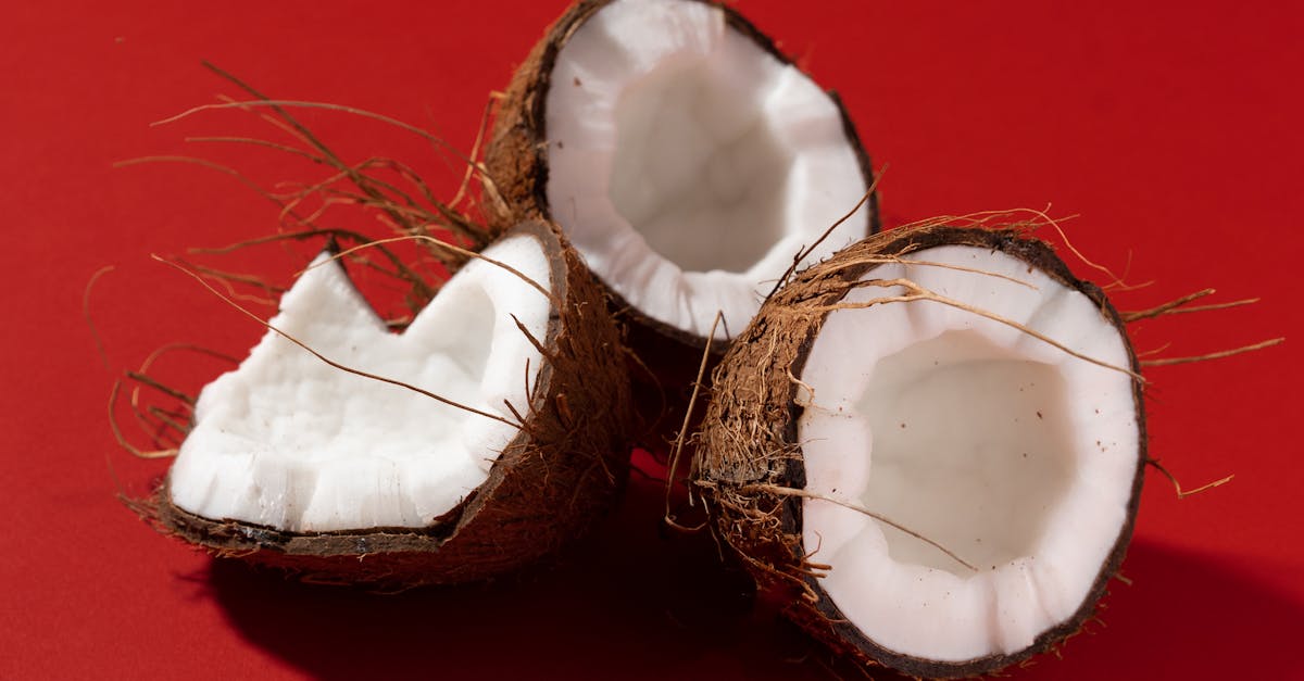 découvrez les multiples avantages de la fibre de coco : un matériau écologique, durable et polyvalent, idéal pour le jardinage, l'artisanat et bien plus encore. apprenez comment intégrer cette ressource naturelle dans vos projets et contribuer à un mode de vie plus respectueux de l'environnement.
