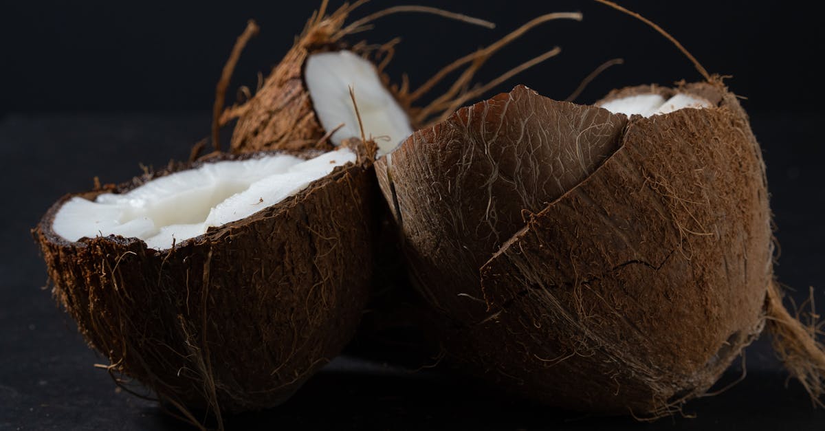 découvrez les bienfaits et les applications de la fibre de coco, un matériau naturel et durable, idéal pour le jardinage, l'artisanat et l'éco-construction. apprenez comment cette ressource renouvelable contribue à un mode de vie plus écologique.