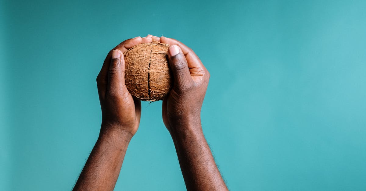 découvrez les bienfaits de la fibre de coco : un matériau écologique, durable et polyvalent, idéal pour l'horticulture, l'artisanat et bien plus encore. apprenez comment elle peut transformer vos projets en alliant performance et respect de l'environnement.