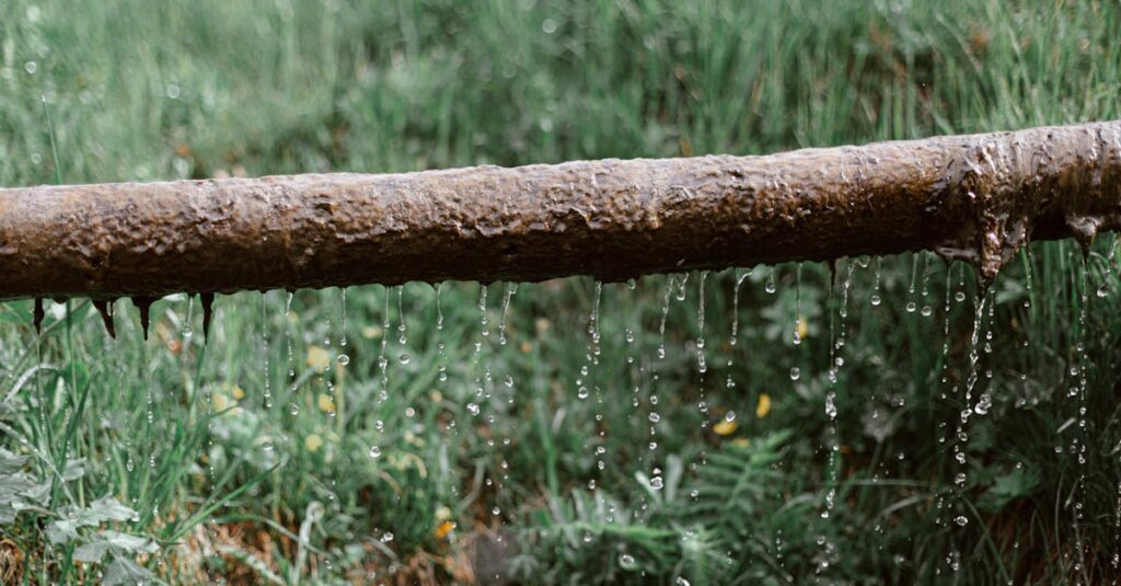 découvrez tout sur le drainage : techniques, avantages et solutions pour améliorer la gestion de l'eau dans votre jardin ou votre propriété. optimisez votre espace extérieur et évitez les problèmes d'humidité grâce à nos conseils d'experts.