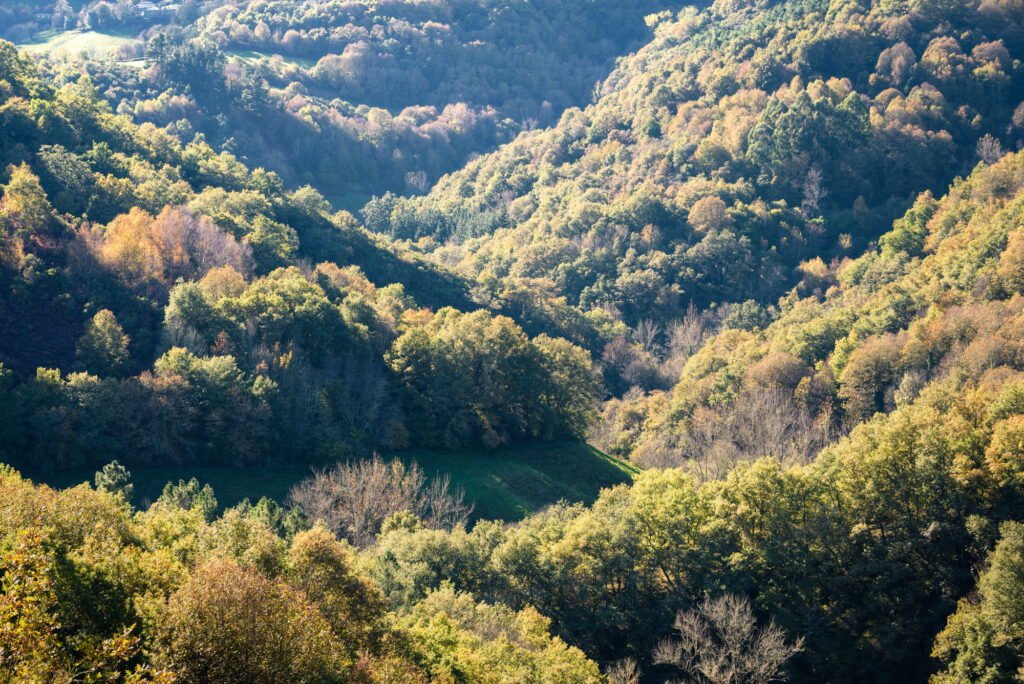 Image principale pour Comprendre la conversion de 1 hectare en mètres carrés
