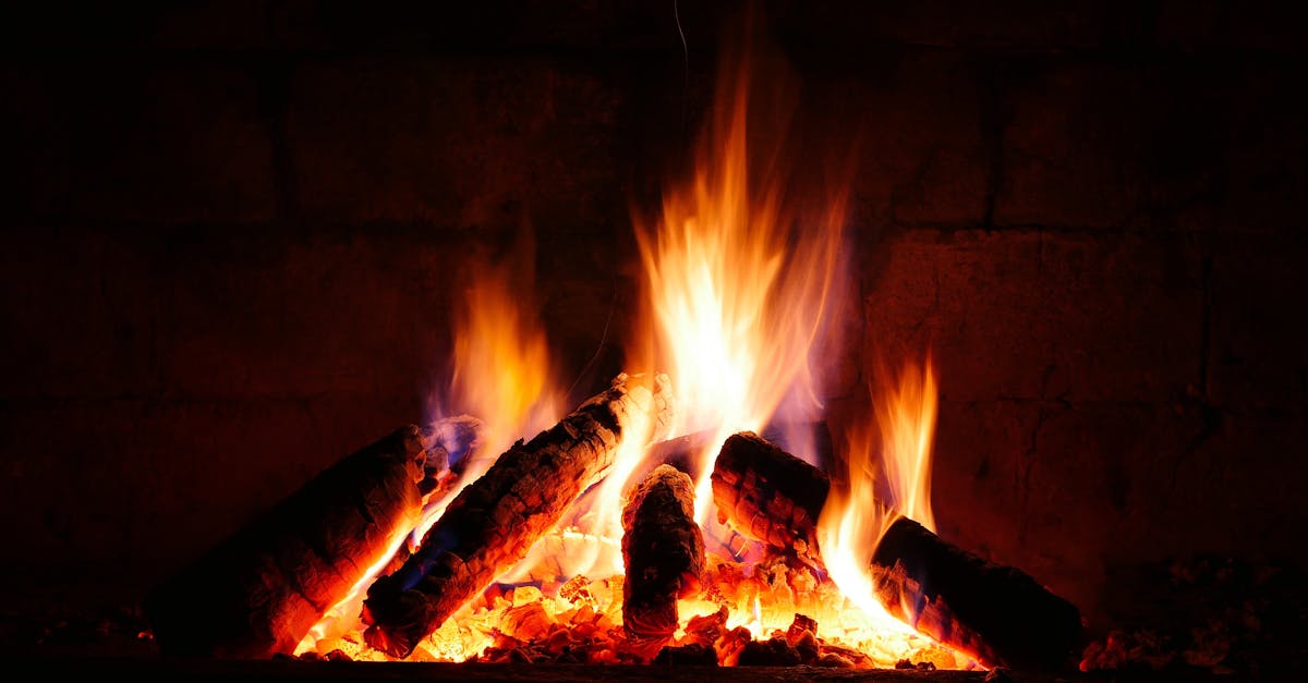 découvrez notre large sélection de bois de chauffage de qualité, idéal pour vos cheminées et poêles. profitez de la chaleur et de l'ambiance cosy qu'apporte le feu de bois, tout en choisissant des essences adaptées à vos besoins.