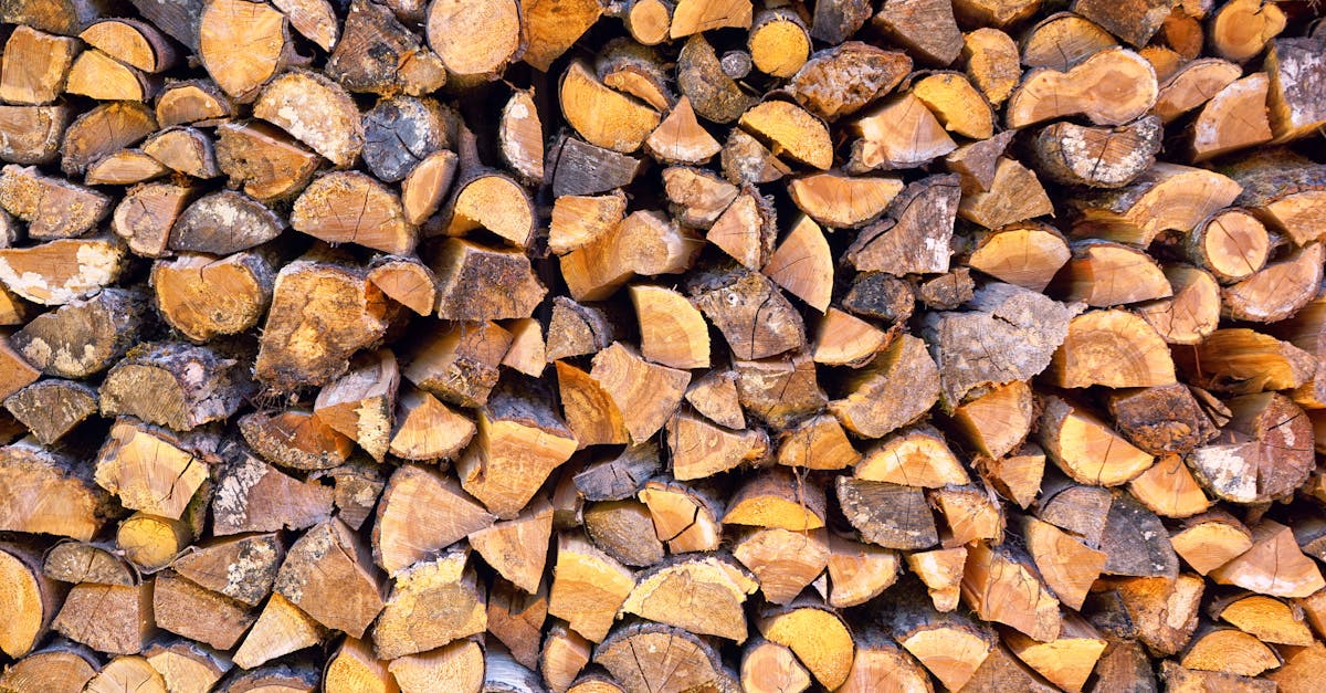 découvrez notre sélection de bois de chauffage de qualité, idéal pour réchauffer votre maison lors des froides nuits d'hiver. profitez d'un feu crépitant et d'une ambiance chaleureuse grâce à nos produits durables et respectueux de l'environnement.