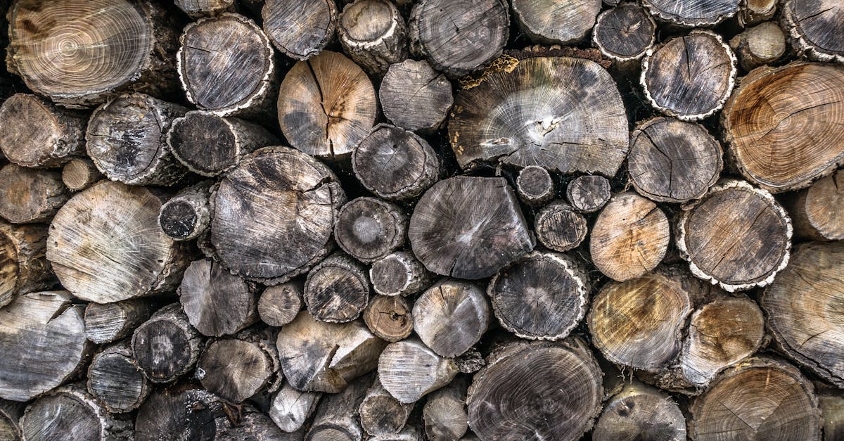 découvrez notre sélection de bois de chauffage de qualité, idéale pour réchauffer votre foyer et créer une ambiance chaleureuse. profitez de bois sec et prêt à l'emploi, parfait pour vos cheminées, poêles et barbecues. commandez maintenant pour profiter d'un hiver confortable !