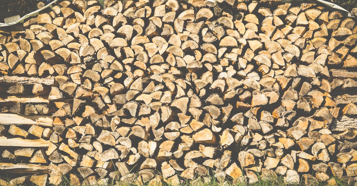 découvrez notre sélection de bois de chauffage de qualité, idéale pour alimenter votre cheminée ou votre poêle. profitez d'un chauffage efficace et agréable tout en respectant l'environnement avec notre bois durable et bien séché.