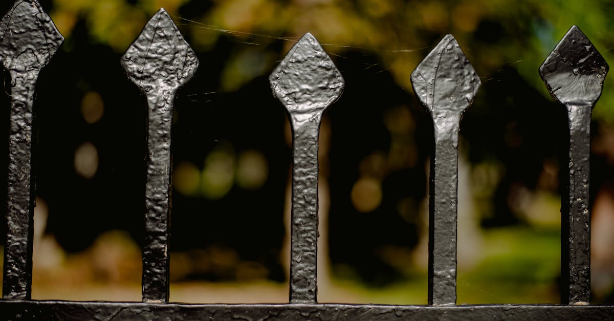 découvrez comment embellir votre jardin avec nos idées de bordures de jardin. que vous préfériez des matériaux naturels ou modernes, trouvez l'inspiration pour délimiter vos espaces extérieurs tout en apportant une touche esthétique à votre aménagement paysager.