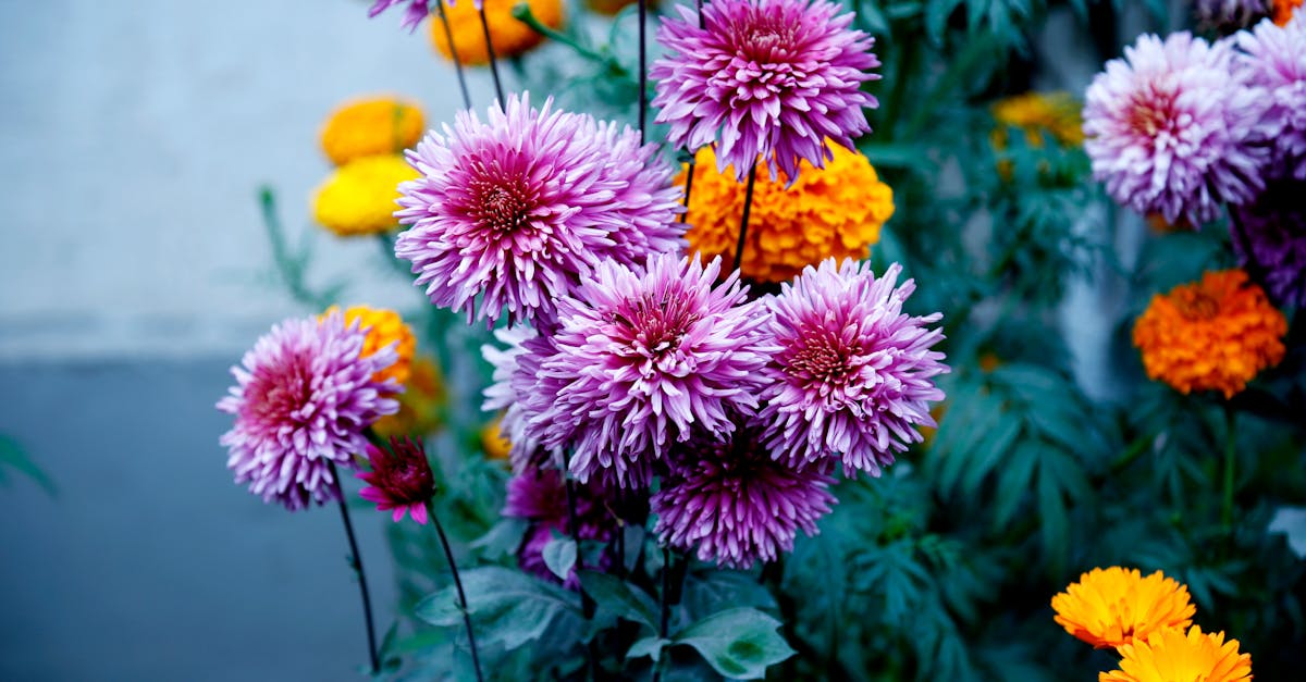 découvrez comment embellir vos espaces extérieurs avec des bordures de jardin. transformez votre jardin en un havre de paix grâce à des idées créatives et des conseils pratiques pour délimiter vos parterres de fleurs, chemins et pelouses.
