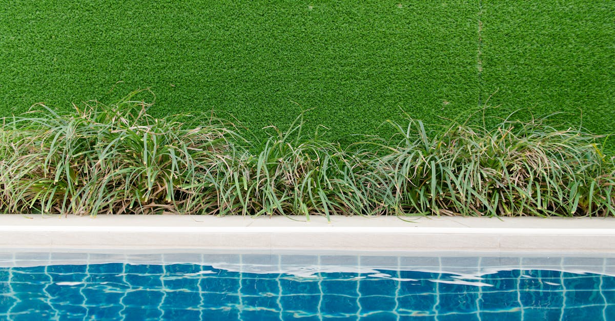 découvrez des idées créatives et inspirantes pour embellir vos jardins avec des bordures élégantes. transformez votre espace extérieur en un véritable havre de paix à l'aide de bordures qui délimitent, protègent et ajoutent du caractère à vos parterres de fleurs et pelouses.