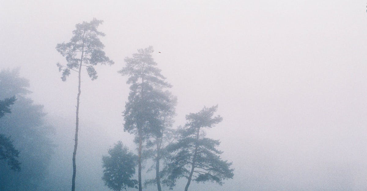 découvrez l'importance de l'humidité dans l'environnement et son impact sur notre santé et nos biens. apprenez comment gérer le taux d'humidité pour un confort optimal dans votre intérieur.