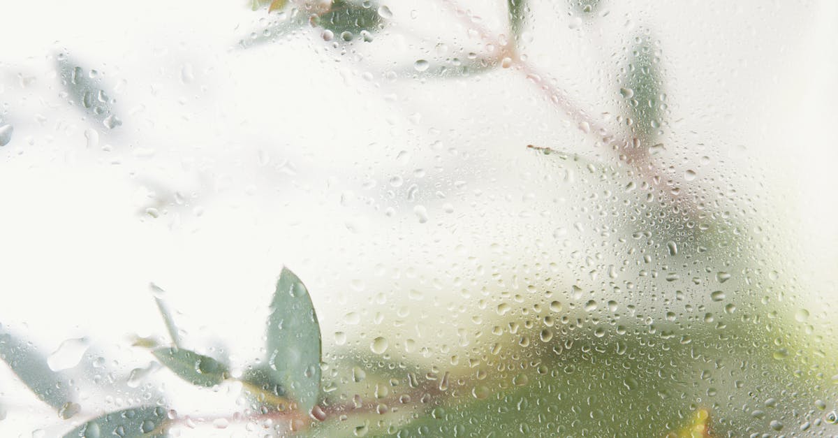 découvrez tout sur l'humidité : son impact sur notre environnement, nos maisons et notre santé. apprenez à mesurer l'humidité, à comprendre ses effets et à trouver des solutions pour maintenir un niveau d'humidité idéal.