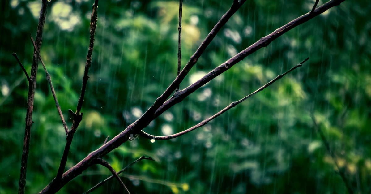 découvrez tout ce que vous devez savoir sur l'humidité : ses effets sur notre environnement, nos habitudes de vie et des conseils pratiques pour gérer le taux d'humidité chez vous.