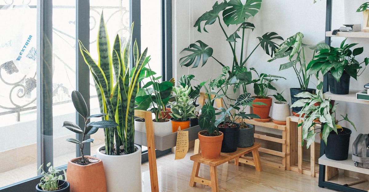 découvrez des idées inspirantes pour la décoration intérieure de votre maison. transformez chaque pièce en un espace chaleureux et accueillant grâce à nos conseils et astuces en matière de design.