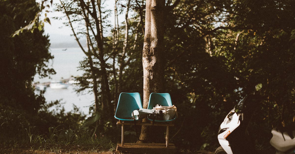 découvrez notre guide complet sur les porches, un espace extérieur privilégié qui allie confort et style. apprenez à embellir votre entrée tout en maximisant l'espace de vie avec des idées inspirantes pour aménager votre porche.