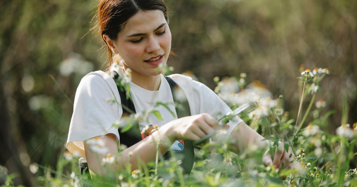 découvrez l'art de la taille : conseils et techniques pour entretenir vos plantes, favoriser leur croissance et embellir votre jardin tout au long de l'année.