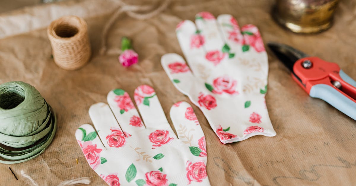 découvrez l'art de la taille des plantes pour favoriser leur croissance et leur santé. apprenez des techniques efficaces de pruning pour embellir votre jardin tout en préservant l'équilibre des écosystèmes.