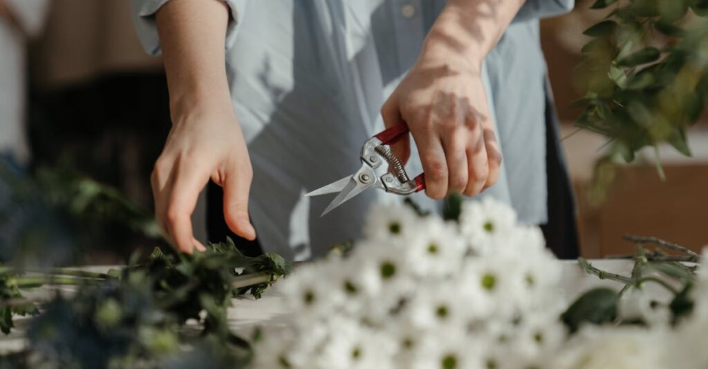 découvrez l'art de la taille pour entretenir et dynamiser vos plantes. apprenez les techniques de pruning essentielles pour favoriser la croissance, améliorer la floraison et maintenir un jardin esthétique. que ce soit pour les arbres, les haies ou les fleurs, maîtrisez les méthodes de taille pour un jardin en pleine santé.