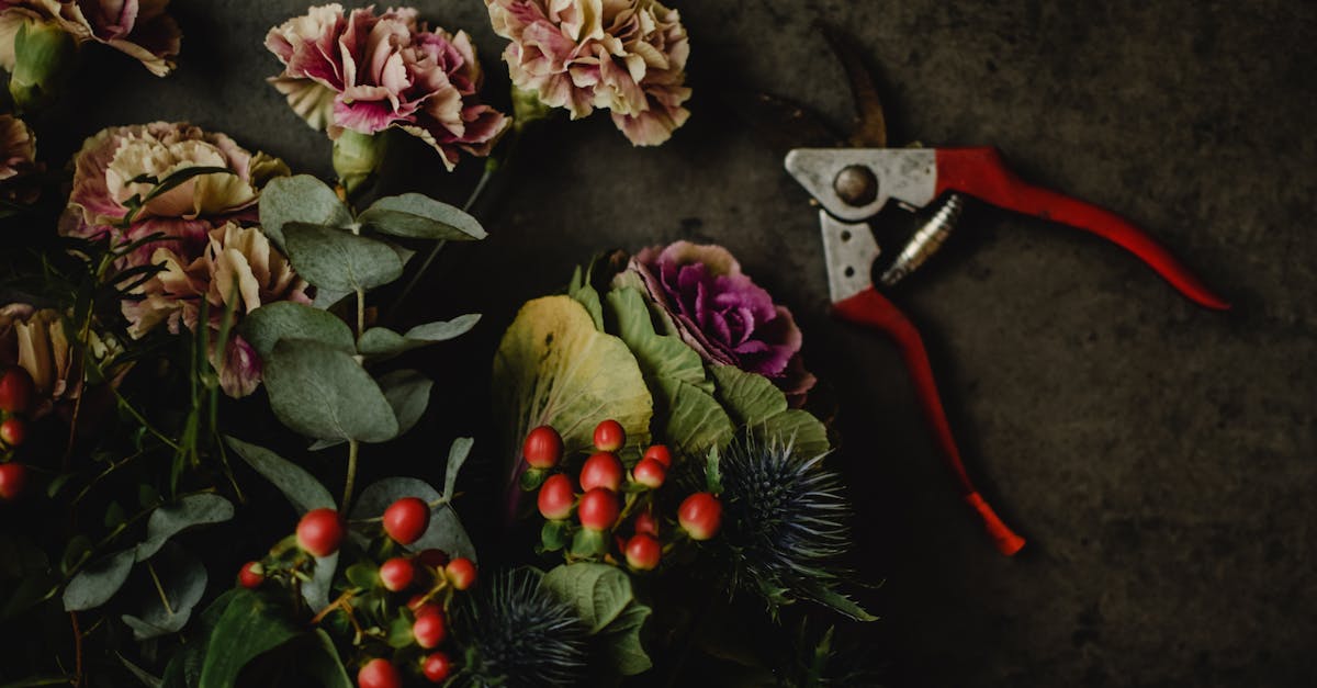 découvrez l'art de la taille des plantes pour favoriser leur croissance et leur santé. apprenez les techniques essentielles de pruning pour sublimer votre jardin et obtenir des fleurs et des fruits abondants.