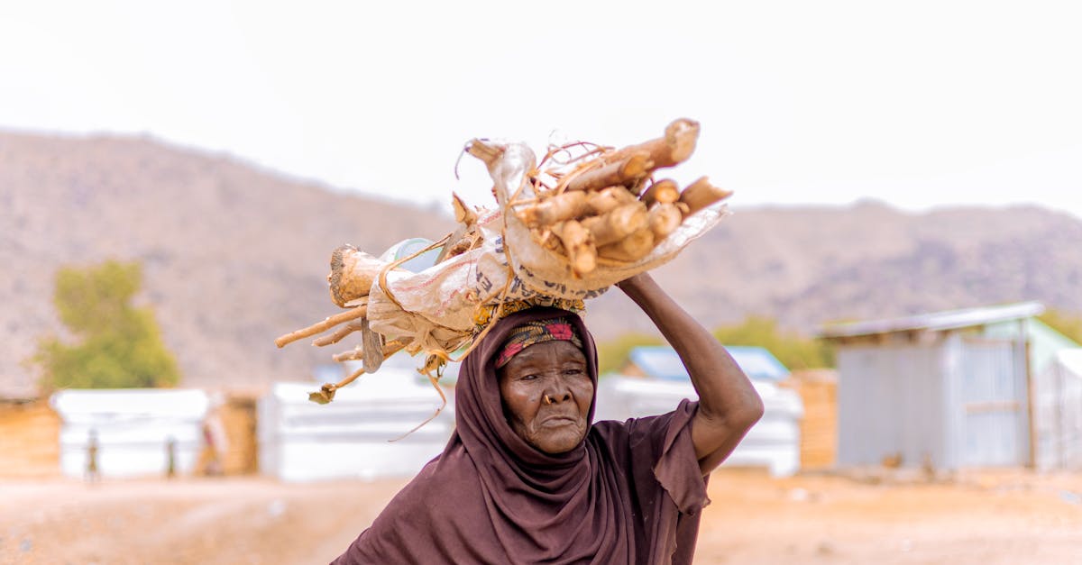 découvrez tout ce qu'il faut savoir sur le coût du bois : analyse des prix, tendances du marché, et conseils pratiques pour optimiser vos achats en matière de bois, que ce soit pour la construction, la décoration ou d'autres projets.