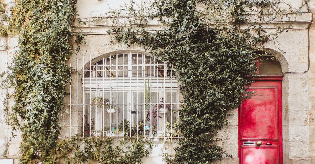 découvrez la bouillie bordelaise, un fongicide naturel à base de cuivre et de chaux, idéal pour protéger vos cultures des maladies. apprenez son utilisation optimale pour garantir la santé de vos plantes tout en respectant l'environnement.