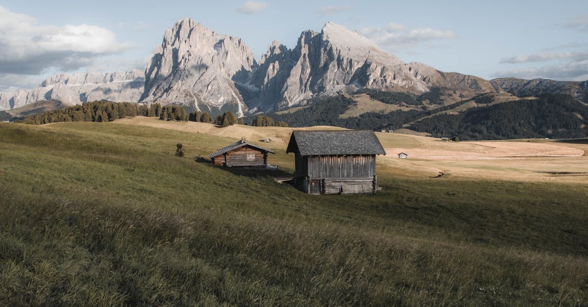 découvrez notre chalet en pleine nature, idéal pour des vacances relaxantes en famille ou entre amis. profitez d'un cadre enchanteur, de confort moderne et d'activités en plein air toute l'année.