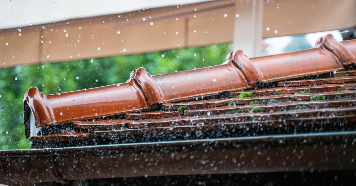 découvrez les techniques de drainage pour optimiser l'évacuation des eaux et prévenir les inondations. apprenez comment mettre en place un système de drainage efficace pour protéger vos espaces extérieurs et améliorer la santé de votre sol.
