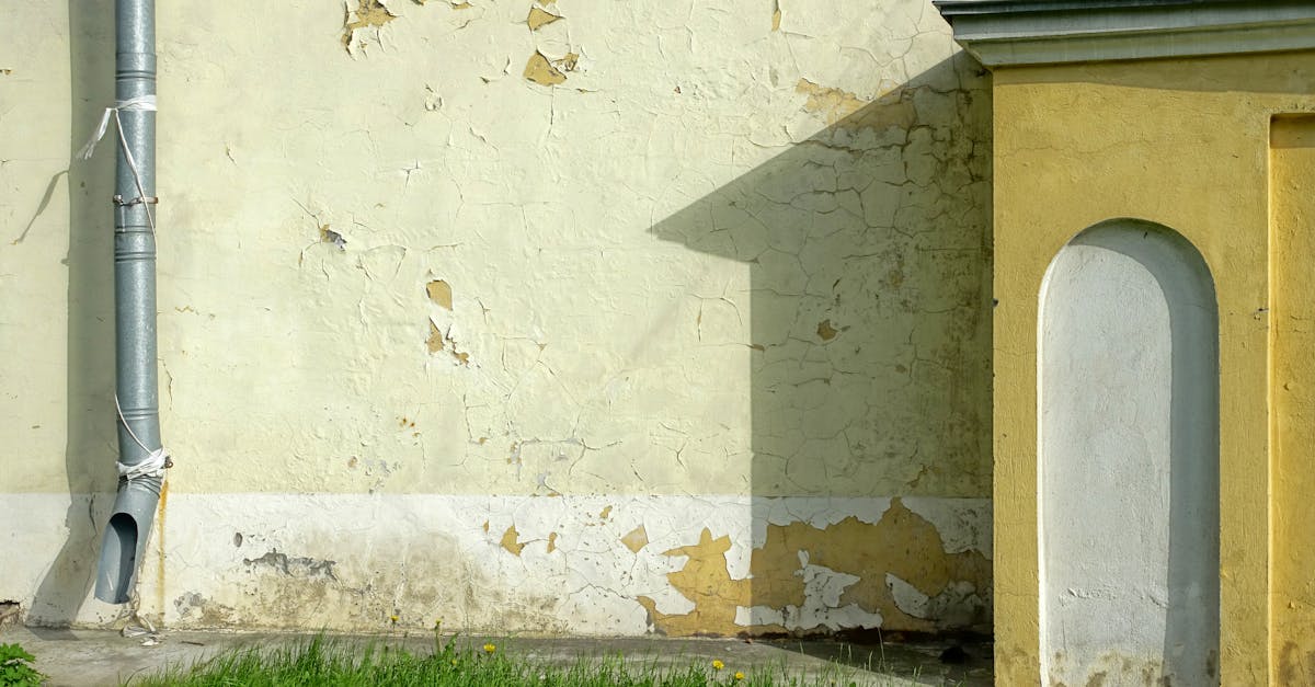 découvrez les techniques et l'importance du drainage pour optimiser la gestion des eaux, prévenir les inondations et assurer la santé de votre sol. apprenez comment un bon drainage peut améliorer vos aménagements paysagers et préserver la durabilité de vos infrastructures.