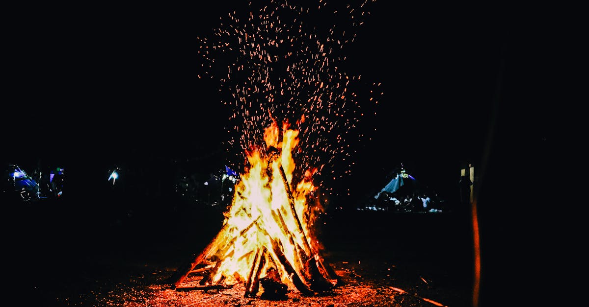 découvrez la durée de combustion du bois de chauffage pour optimiser votre consommation et profiter d'un feu chaleureux plus longtemps. apprenez les facteurs qui influencent la durabilité du feu et choisissez le meilleur type de bois pour vos besoins.