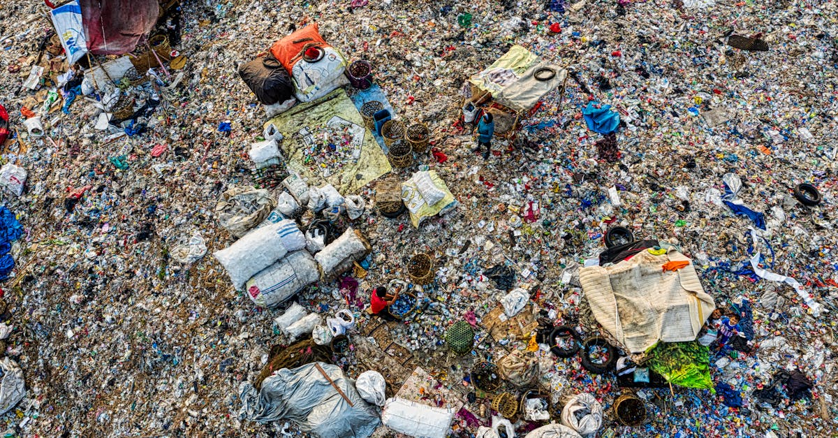 découvrez notre guide complet sur les broyeurs de déchets (garbage disposers) : leur fonctionnement, les avantages, des conseils d'installation et d'entretien pour une cuisine plus propre.