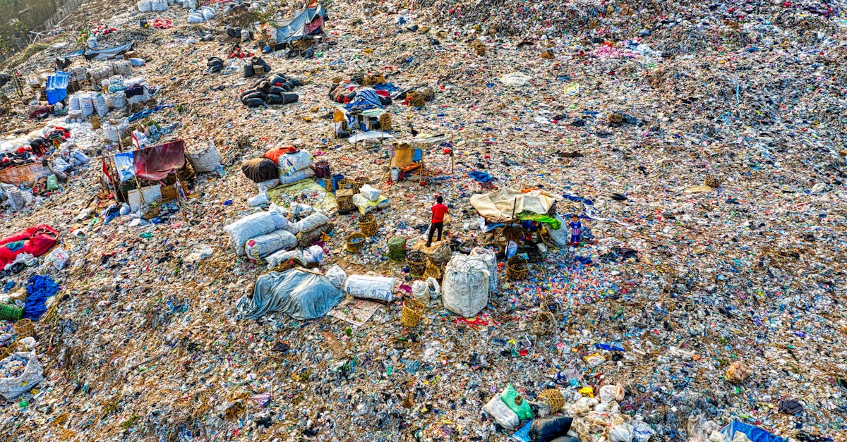 découvrez les avantages d'un broyeur de déchets pour simplifier votre cuisine. réduisez le volume de vos ordures, préservez l'environnement et facilitez le nettoyage avec cet appareil indispensable.