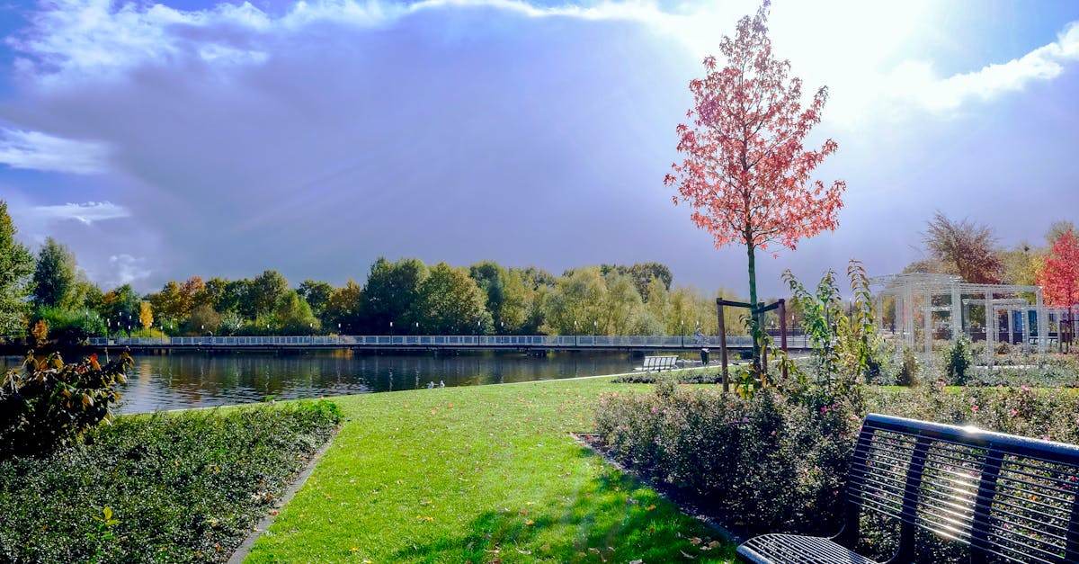 découvrez nos services de jardinage et aménagement paysager, incluant la création d'espaces extérieurs uniques, l'entretien de jardins et la sélection de plantes adaptées à votre environnement. transformez votre extérieur en un véritable havre de paix.