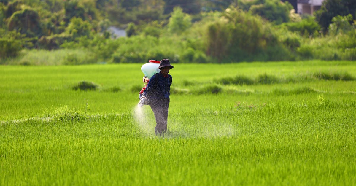 découvrez les avantages des herbicides naturels pour un jardinage écologique et efficace. apprenez comment protéger vos plantes des mauvaises herbes tout en respectant l'environnement grâce à des solutions naturelles.