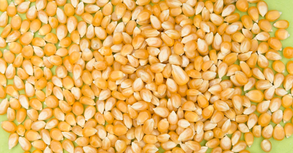 découvrez les pellets, une solution de chauffage écologique et économique. fabriqués à partir de bois recyclé, ces granulés offrent une combustion efficace et respectueuse de l'environnement. optimisez votre confort tout en réduisant votre empreinte carbone.