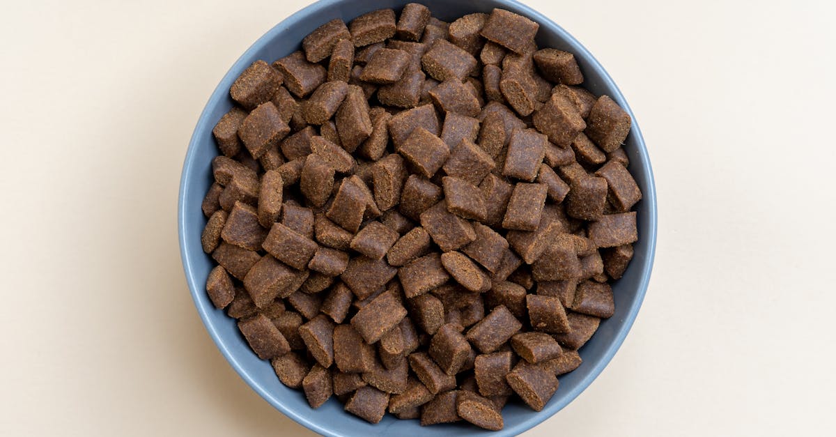 découvrez les pellets, une solution éco-responsable et économique pour le chauffage de votre maison. fabriqués à partir de déchets de bois, ces granulés offrent une combustion efficace et un confort thermique optimal. informez-vous sur les avantages, l'utilisation et les meilleures pratiques pour un chauffage durable et respectueux de l'environnement.