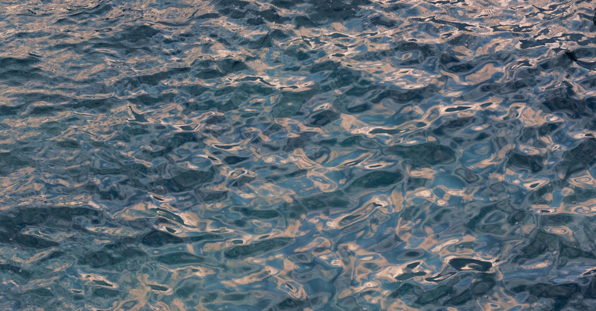 découvrez les causes et solutions pour les rides sur le liner de votre piscine. apprenez comment entretenir votre liner et préserver l'esthétique de votre piscine tout en améliorant sa durabilité.