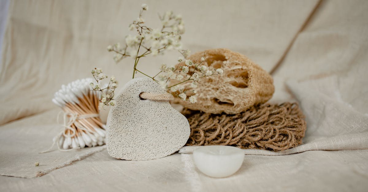 découvrez la pierre ponce, un matériau naturel aux multiples usages, idéal pour le jardinage, la beauté et l'entretien de la maison. apprenez comment l'utiliser efficacement pour exfolier la peau, aérer le sol ou comme élément décoratif.