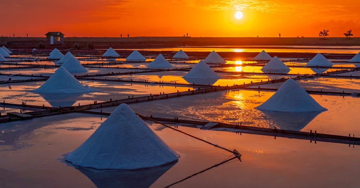 découvrez le sodium bisulfate, un composé chimique polyvalent utilisé dans divers secteurs, notamment le traitement de l'eau, l'industrie alimentaire et la production de produits chimiques. apprenez-en davantage sur ses propriétés, ses applications et son importance dans les processus industriels.