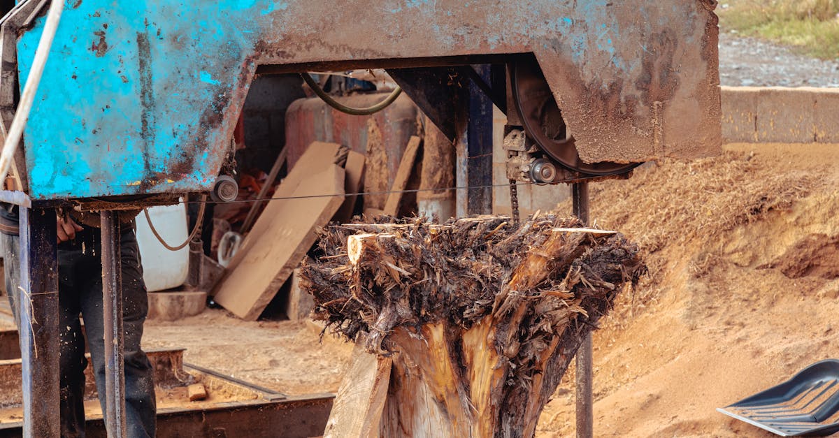 découvrez nos services professionnels d'abattage d'arbres, garantissant sécurité et efficacité. que ce soit pour un arbre malade, trop proche de votre maison ou pour des raisons d'aménagement, notre équipe expérimentée s'occupe de tout, en respectant l'environnement. contactez-nous dès aujourd'hui pour un devis gratuit.