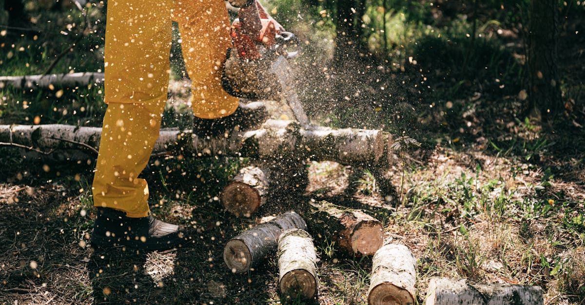 découvrez notre sélection de tronçonneuses performantes et fiables, idéales pour vos travaux de jardinage, d'abattage d'arbres ou de découpe de bois. profitez de puissantes fonctionnalités, de sécurité optimale et d'une prise en main facile pour tous vos projets. achetez dès maintenant et transformez votre expérience de coupe !