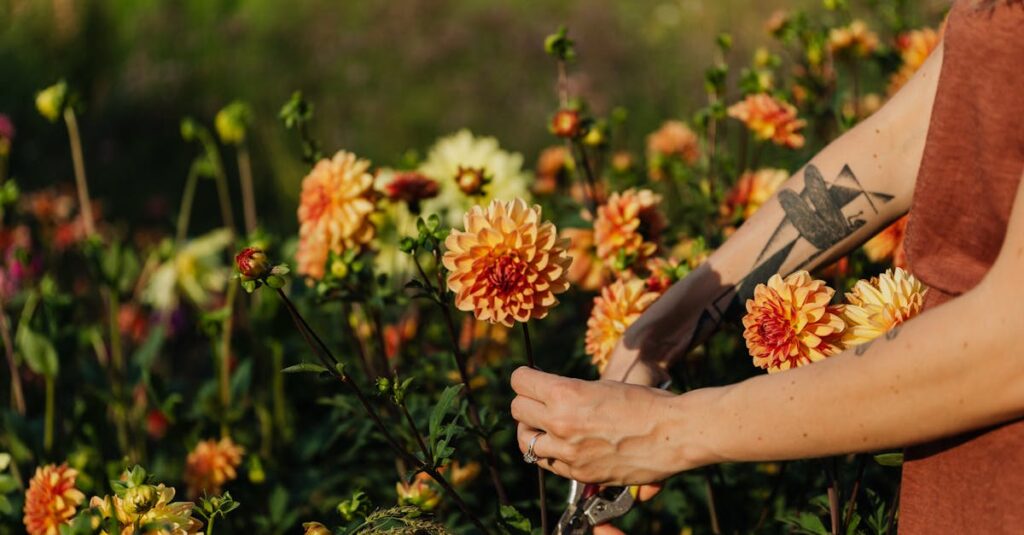 découvrez l'univers coloré des dahlias, des fleurs emblématiques appréciées pour leur beauté et leur diversité. apprenez à cultiver et entretenir ces fleurs majestueuses dans votre jardin, tout en explorant les différentes variétés et leurs significations.