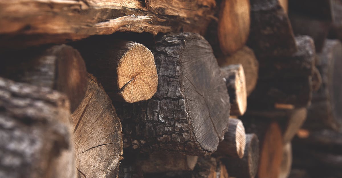 découvrez notre large sélection de bois de chauffage de qualité, idéal pour garder votre foyer chaleureux. profitez de notre service de livraison rapide et d'options écologiques pour un hiver confortable.