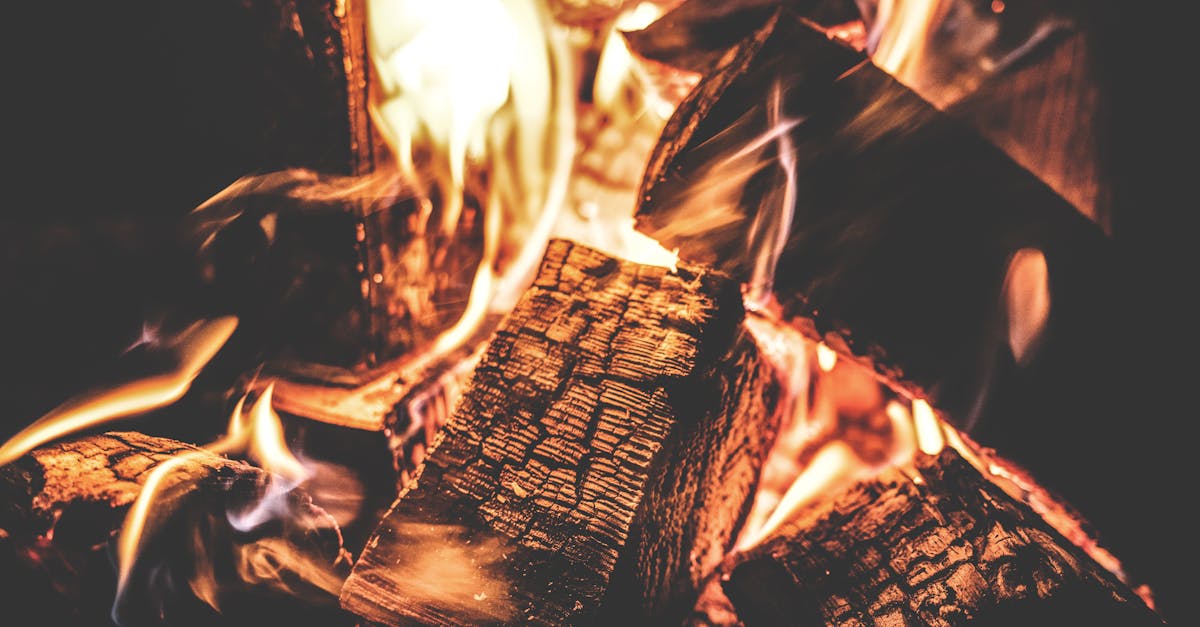 découvrez notre vaste sélection de bois de chauffage de qualité, idéal pour vos soirées au coin du feu. profitez d'un feu chaleureux et chaleureux avec notre bois soigneusement sélectionné, parfait pour vos cheminées, poêles et barbecues. commandez en ligne et faites livrer directement chez vous, pour des moments conviviaux en famille ou entre amis.