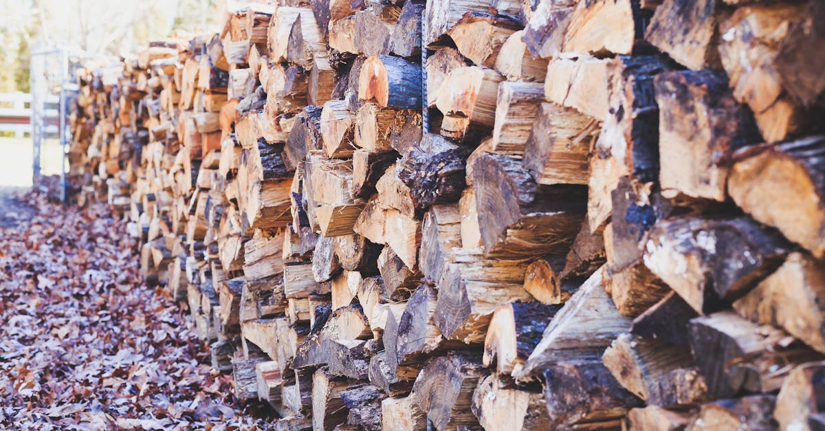 découvrez notre sélection de bois de chauffage de qualité supérieure, idéale pour réchauffer votre maison et profiter de soirées chaleureuses. commandez dès maintenant pour une livraison rapide et efficace.