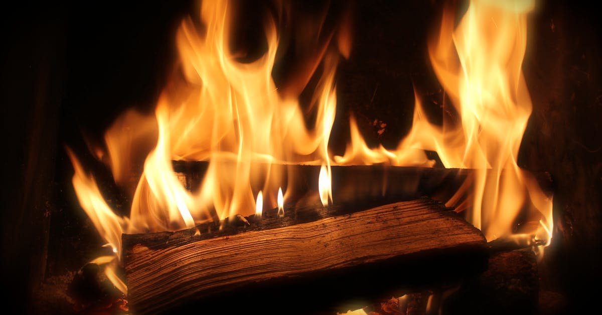 découvrez notre sélection de bois de chauffage de qualité, idéal pour vos cheminées et poêles. profitez d'un confort thermique optimal et d'une ambiance chaleureuse grâce à nos bûches, prêtes à l'emploi. commandez dès maintenant et faites le plein d'énergie durable pour cet hiver.