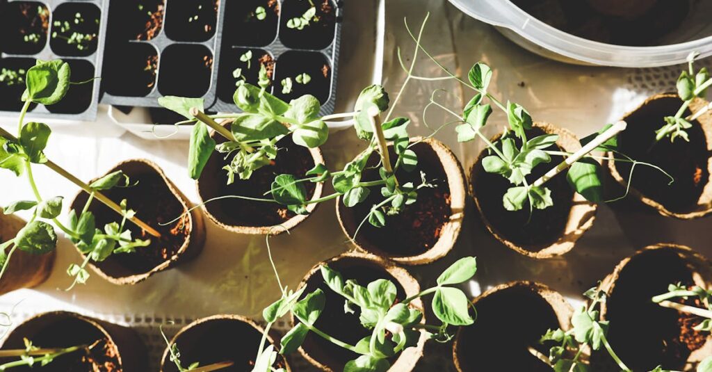 découvrez l'art du jardinage avec nos conseils pratiques, astuces et techniques pour créer un espace verdoyant et épanouissant. que vous soyez débutant ou expert, plongez dans le monde du jardinage et faites fleurir votre passion !